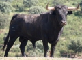 RUPERTO